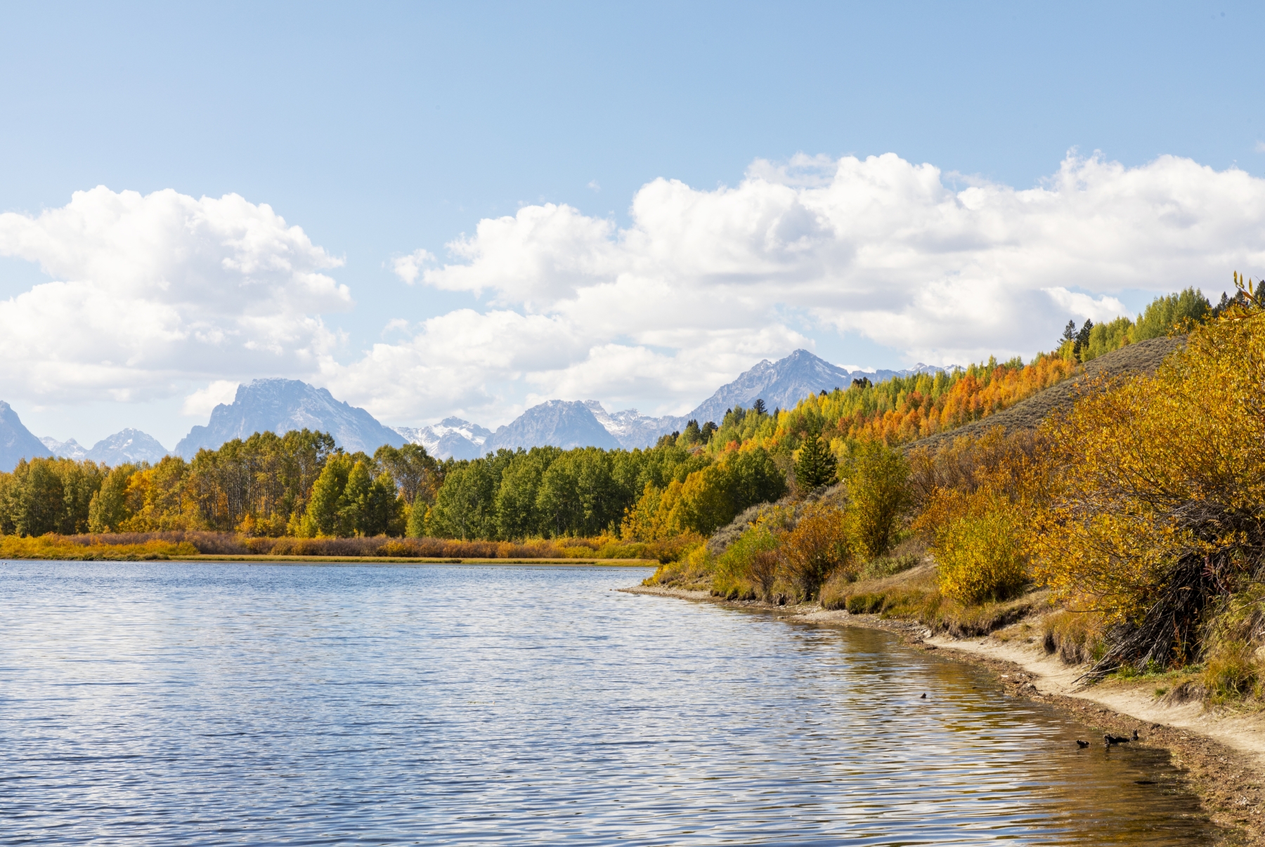 /gallery/north_america/USA/Wyoming/grand teton/Grand Teton Sept 2024-003_med.jpg